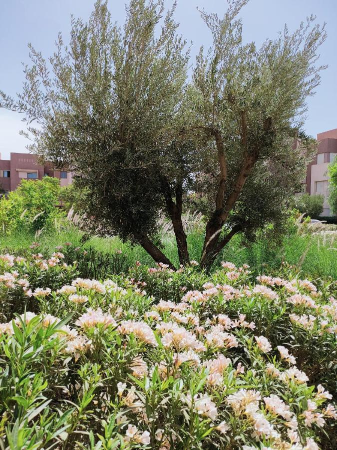 Prestigia Marrakech Dar Cheryana Marrakesh Luaran gambar